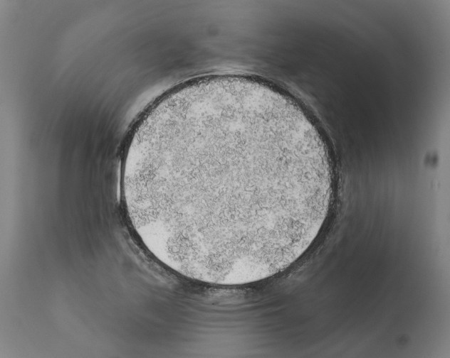 X0000112381171200909241207