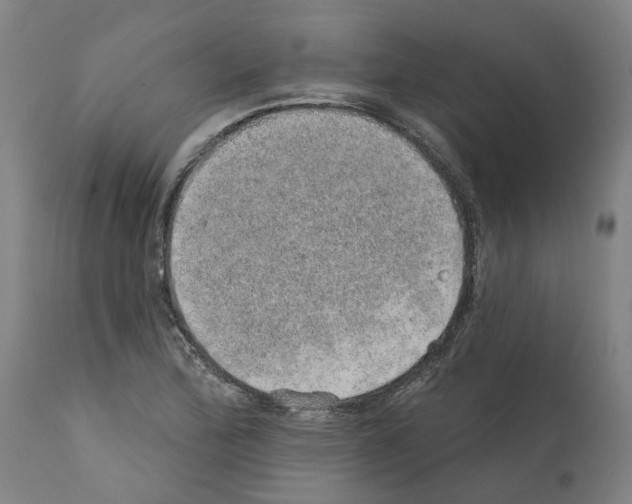 X0000112381172200909241207