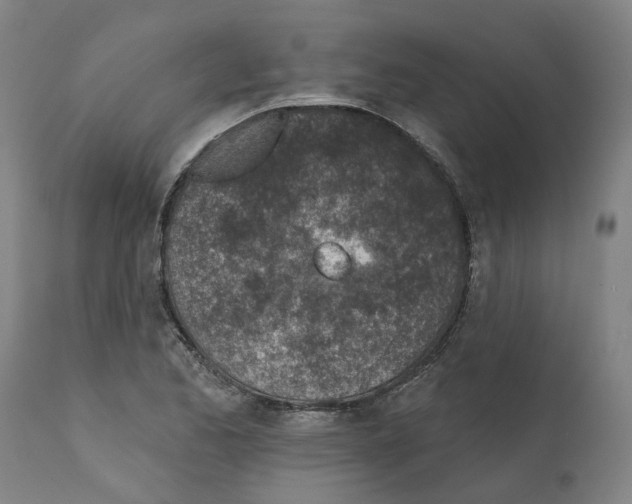 X0000112381173200909241207