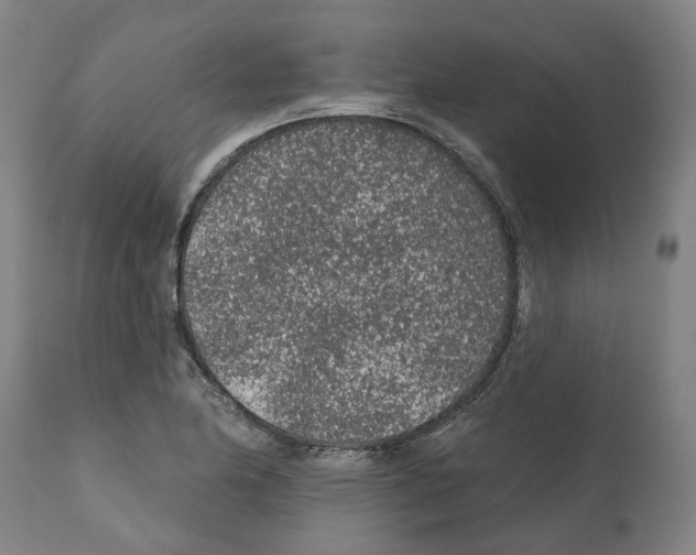 X0000112381174200909241207