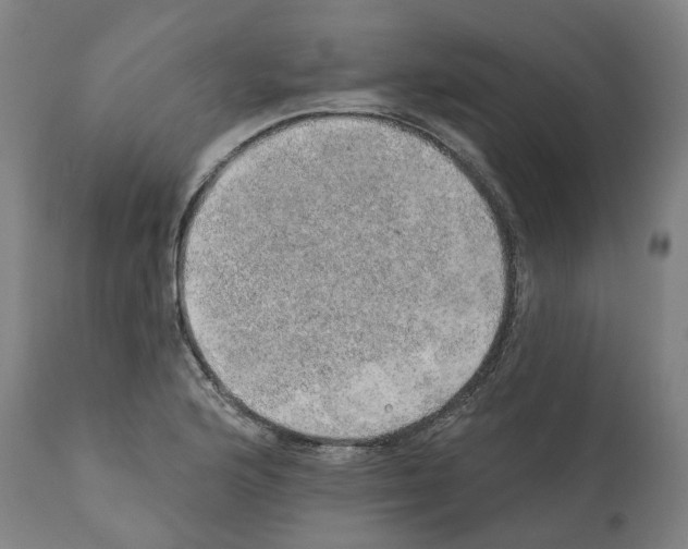 X0000112381176200909241207