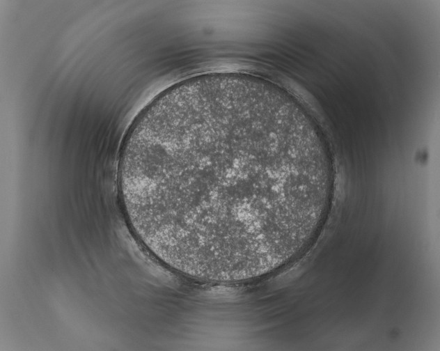 X0000112381178200909241207