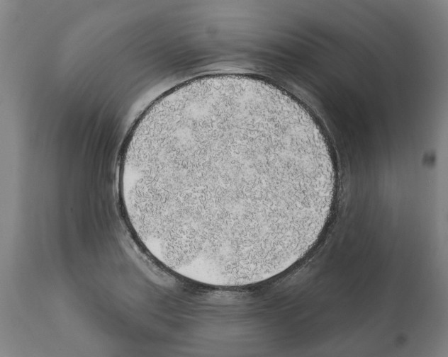 X0000112381179200909241207