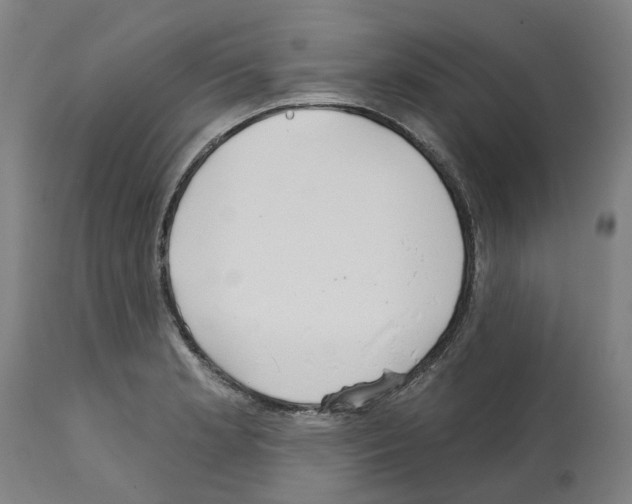 X0000112381181200909241207