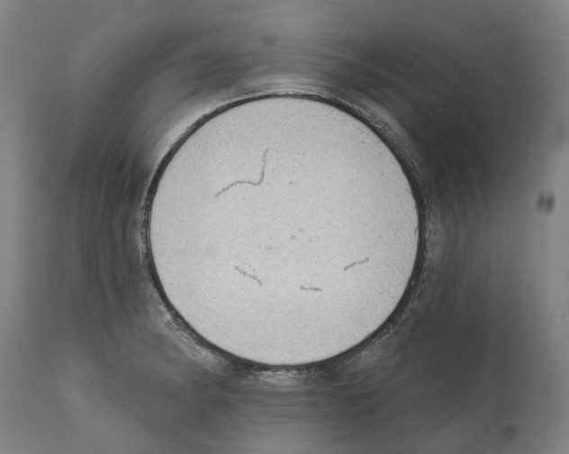 X0000112381182200909241207