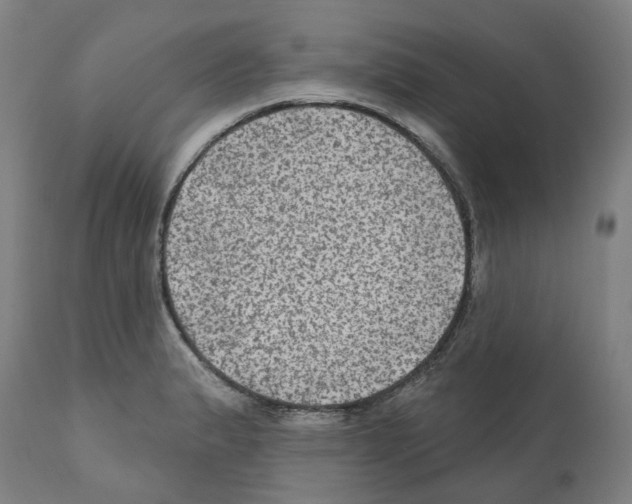 X0000112381183200909241207