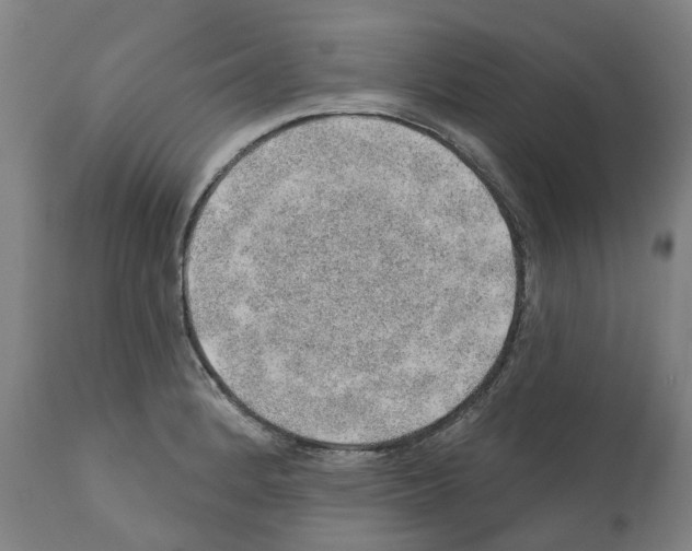 X0000112381184200909241207