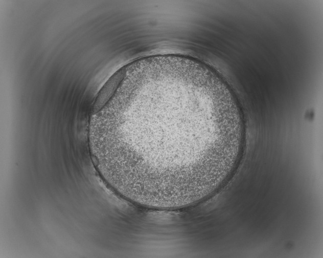 X0000112381185200909241207