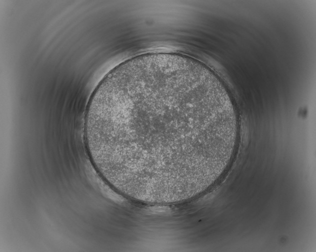 X0000112381186200909241207