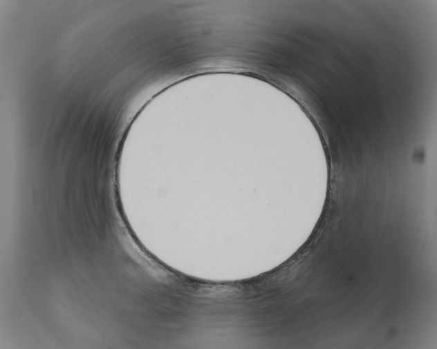 X0000112381187200909241207