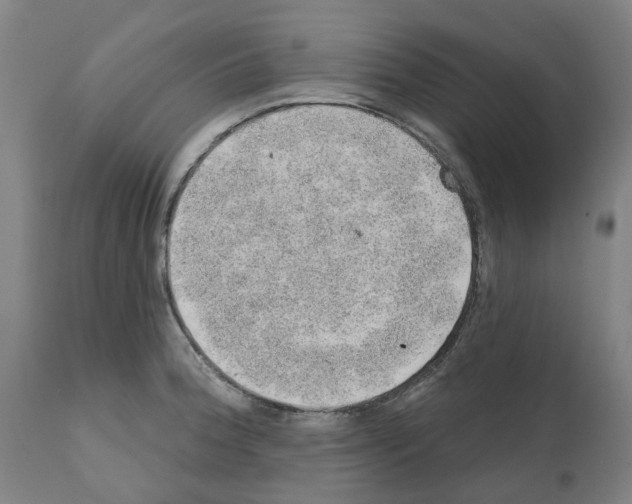 X0000112381188200909241207