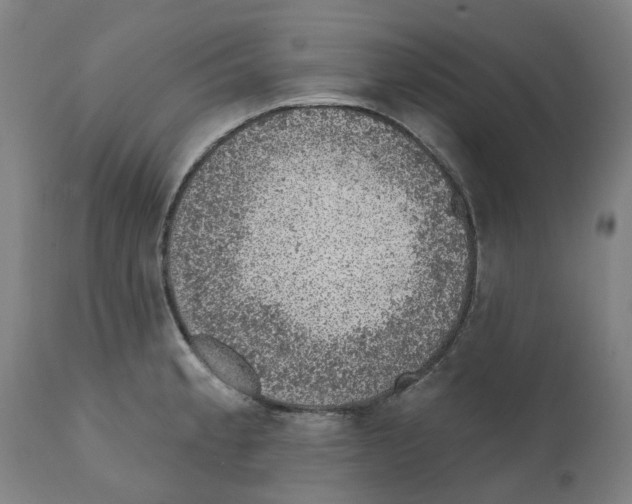 X0000112381189200909241207