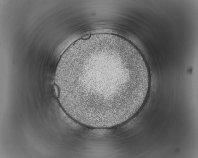 X0000112381193200909241207