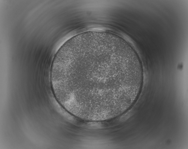 X0000112381194200909241207