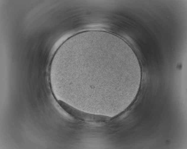 X0000112381196200909241207