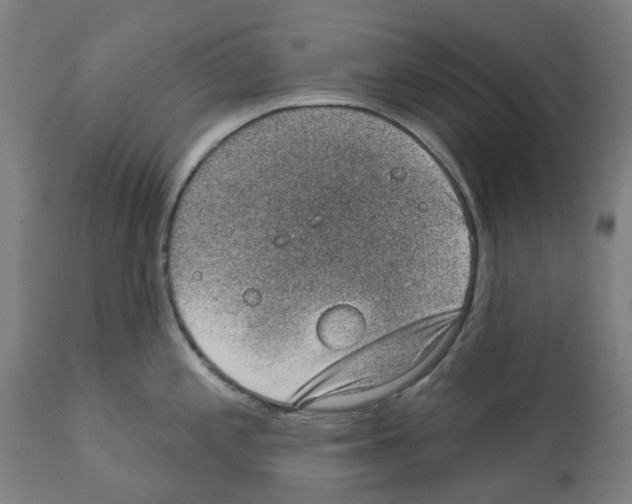 X0000112381197200909241207