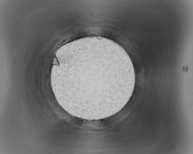 X0000112381201200909241206