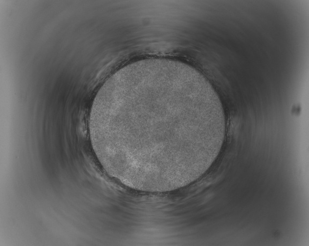 X0000112381202200909241206