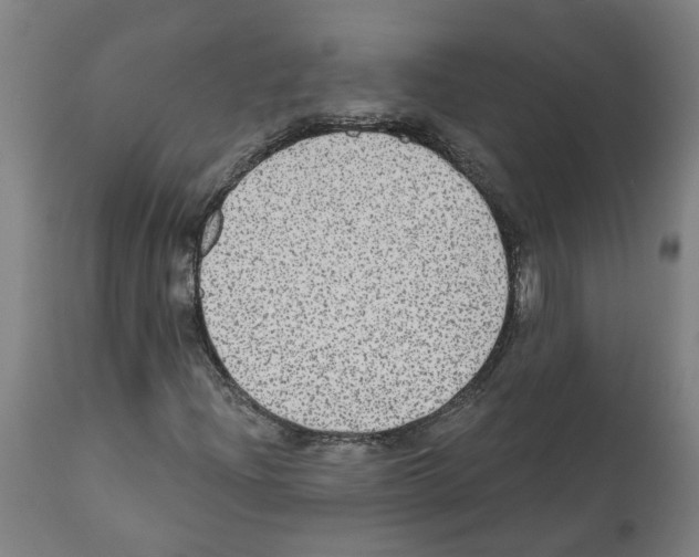 X0000112381204200909241206