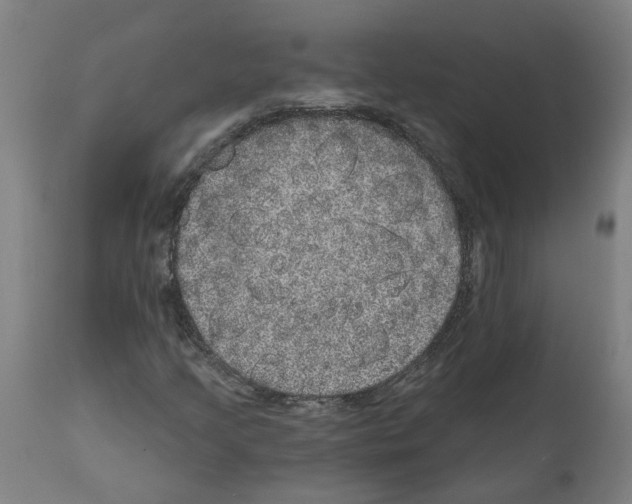 X0000112381205200909241206