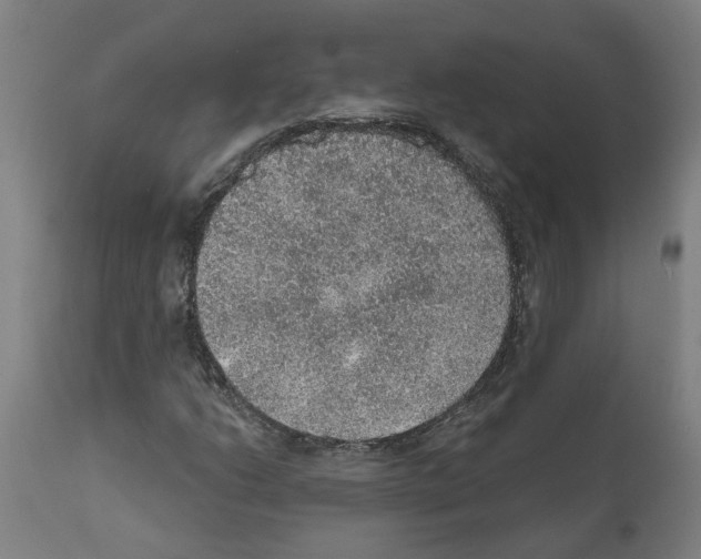 X0000112381206200909241206