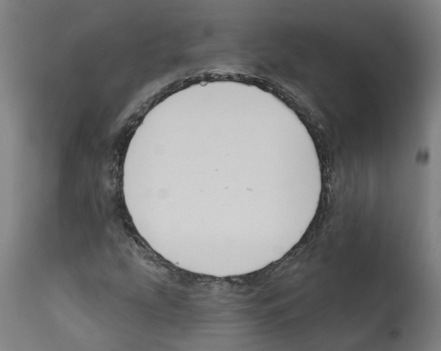 X0000112381207200909241206