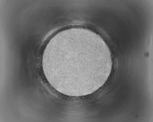 X0000112381208200909241206