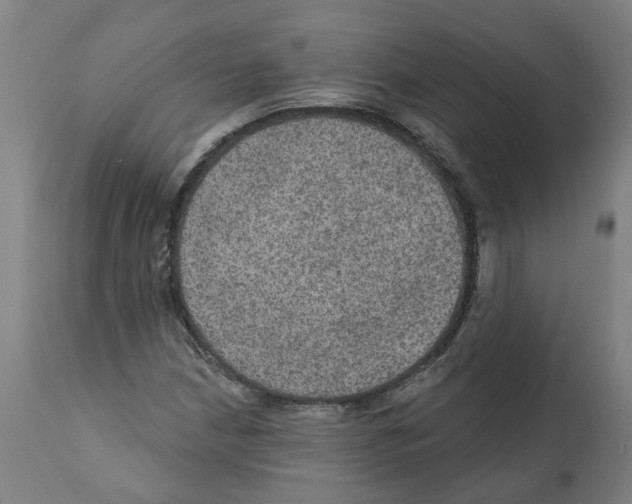 X0000112381210200909241206