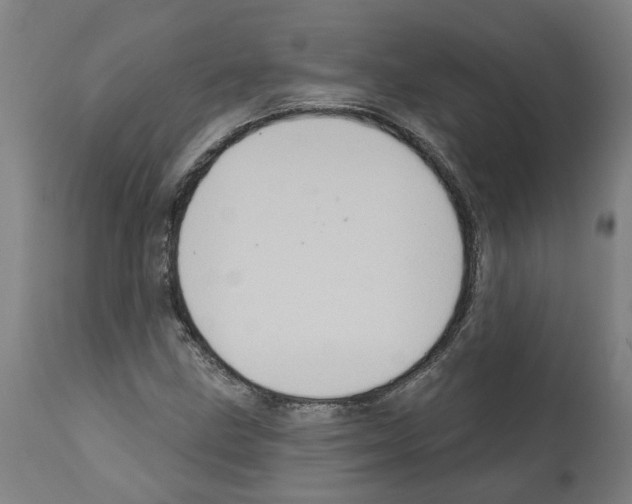 X0000112381211200909241206