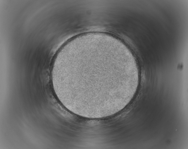 X0000112381212200909241206