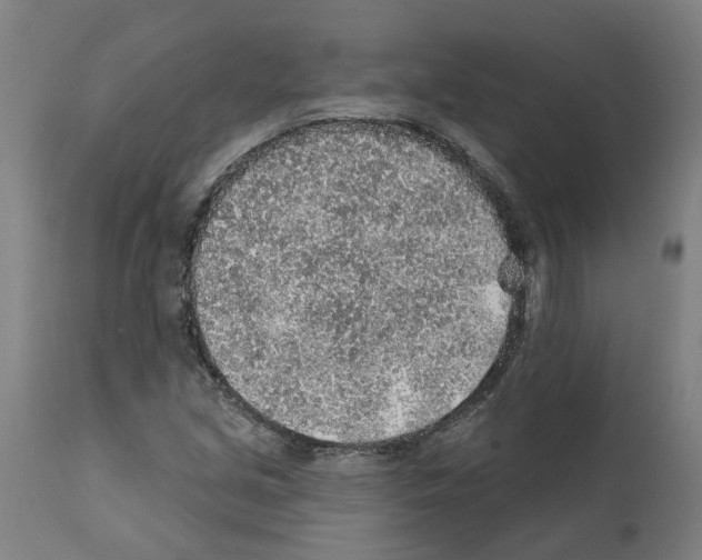 X0000112381213200909241206