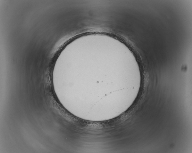 X0000112381215200909241206