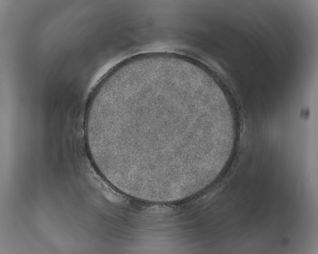 X0000112381216200909241206