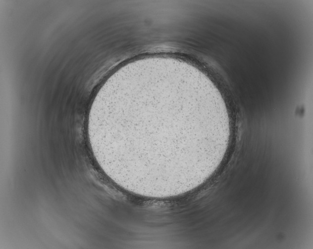 X0000112381217200909241206