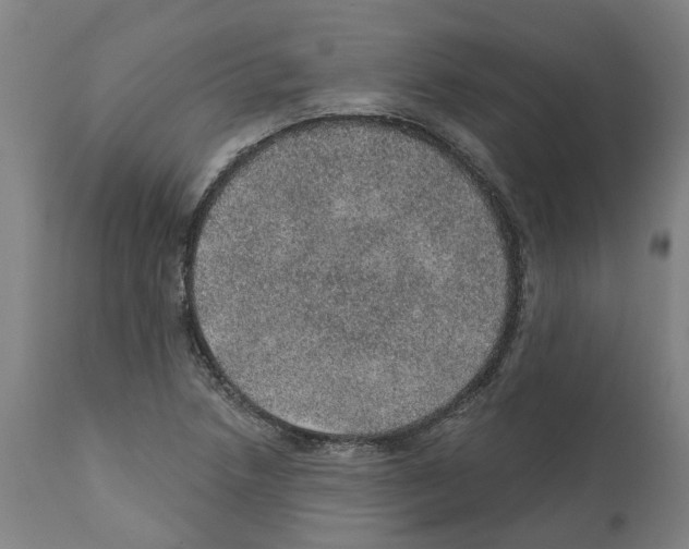 X0000112381218200909241206