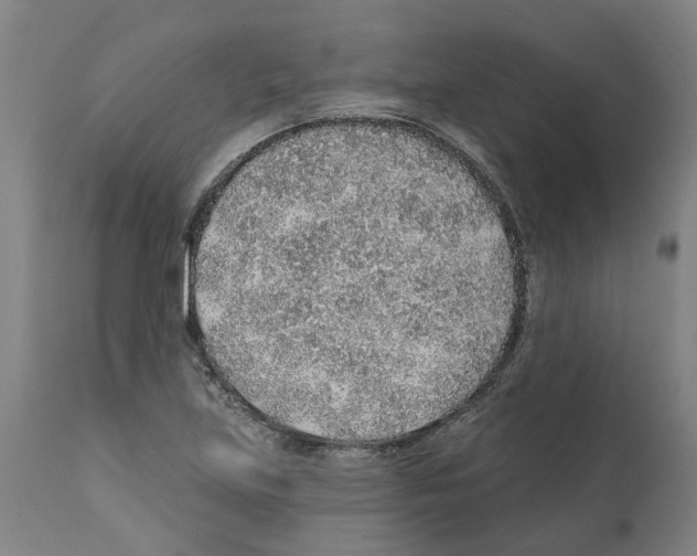 X0000112381219200909241206