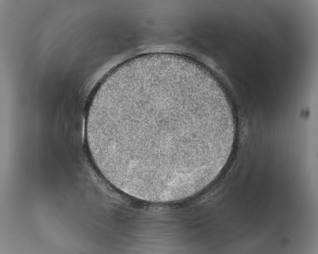 X0000112381221200909241206