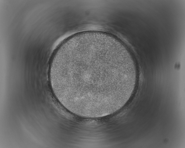 X0000112381222200909241206