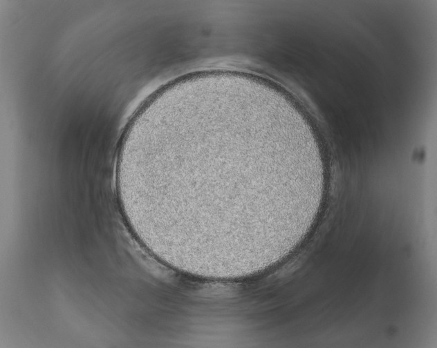 X0000112381224200909241206