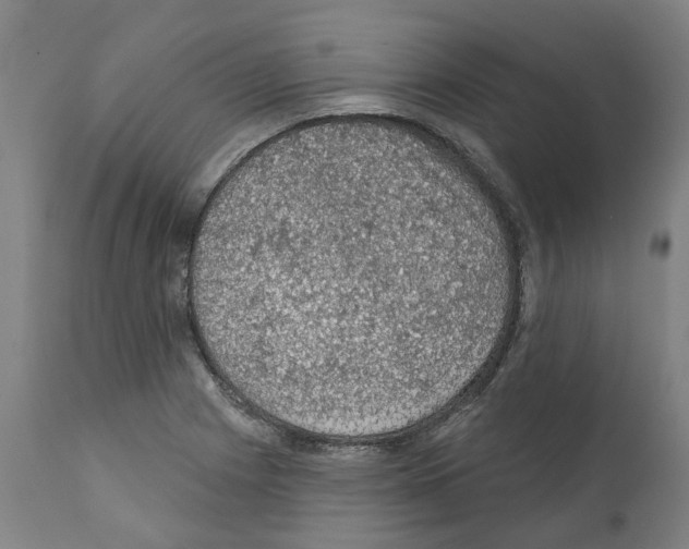 X0000112381225200909241206