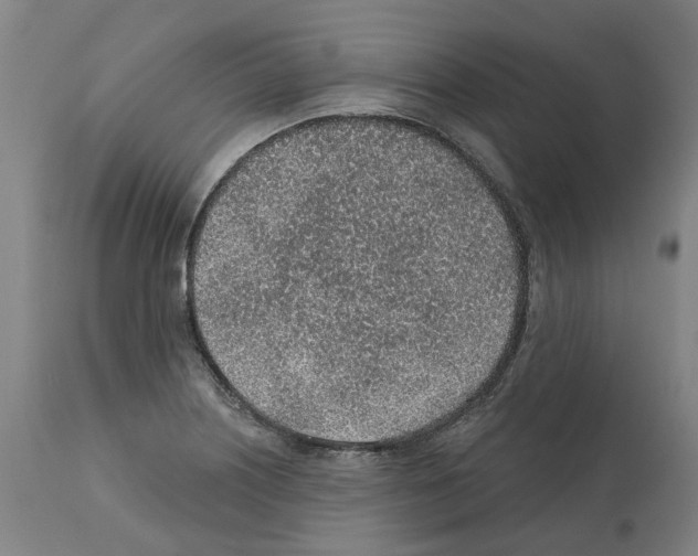 X0000112381226200909241206