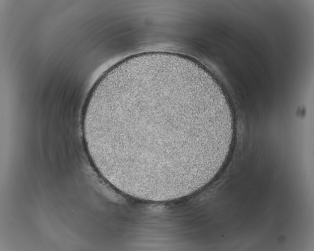 X0000112381230200909241207