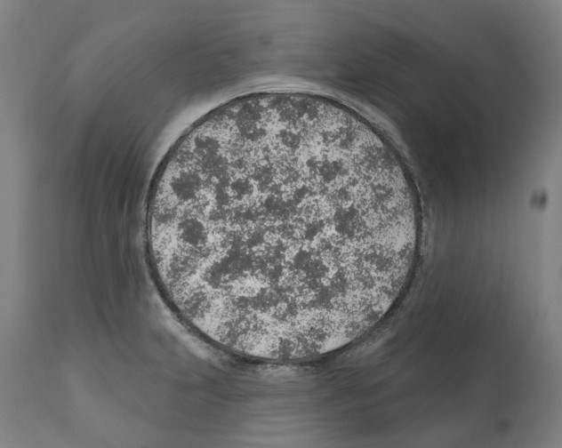 X0000112381231200909241207