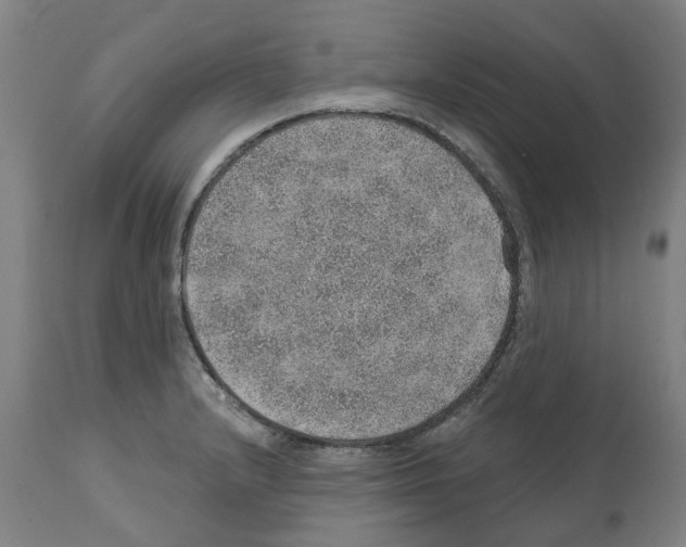 X0000112381232200909241207