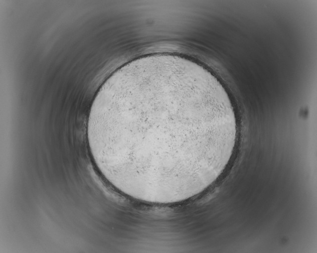 X0000112381233200909241207