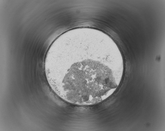 X0000112381234200909241207