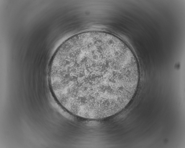 X0000112381235200909241207