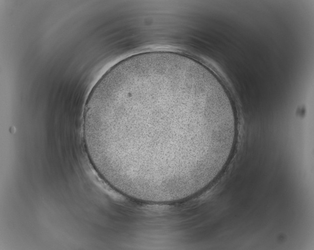 X0000112381236200909241207