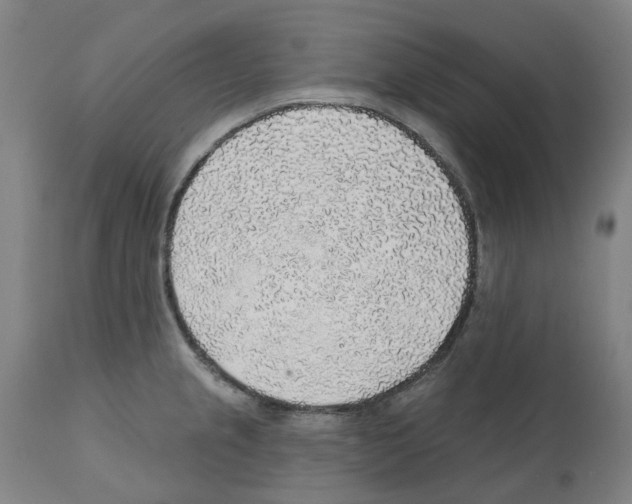 X0000112381237200909241207