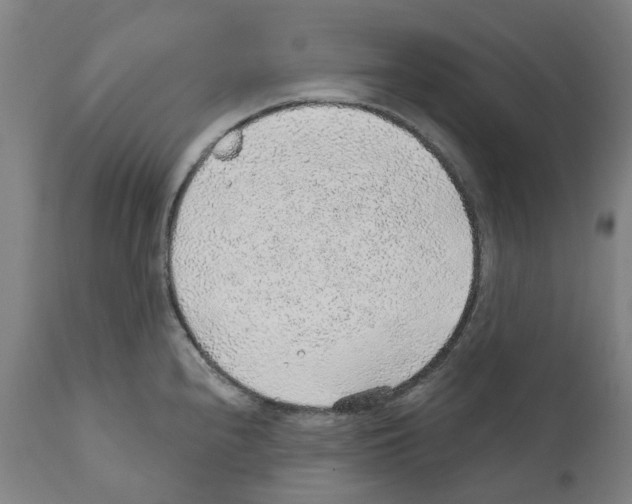 X0000112381240200909241207